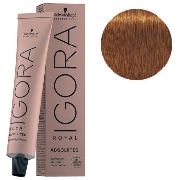 Igora Royal Absolutes N° 7/70 - Blond Moyen Cuivré Naturel