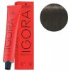 Igora Royal N° 5/1 - Châtain Clair Cendré