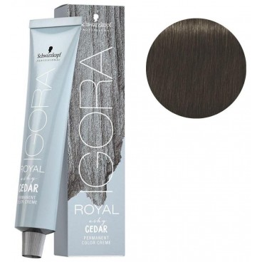 Igora Royal N° 6/16 - Blond Foncé Cendré Marron