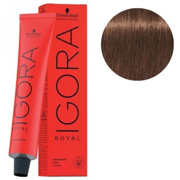 Igora Royal N° 6/6 - Blond Foncé Marron