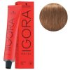 Igora Royal N° 7/65 - Blond Moyen Marron Doré