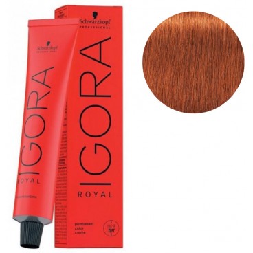 Igora Royal N° 7/77 - Blond Moyen Cuivré Extra