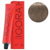 Igora Royal N° 8/1 - Blond Clair Cendré